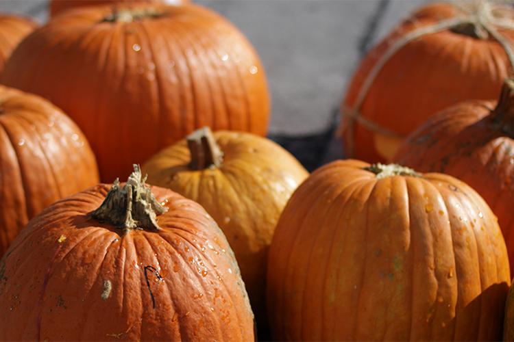 Annual Pumpkin Drop and Physics Carnival